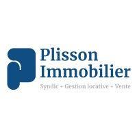 plisson immobilier logo image