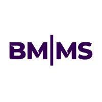 bmms partners, pllc