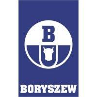 boryszew automotive plastics logo image