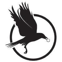 black raven ltd. logo image