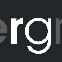 rapiergroup logo image