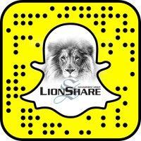 lions share management group