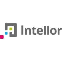 intellor group logo image