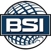 babbitting service, inc. (bsi) logo image