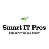 smart it pros inc logo image