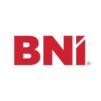 bni south africa logo image