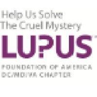 lupus foundation of america, dc/md/va chapter logo image