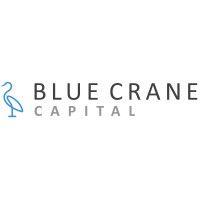 blue crane capital logo image