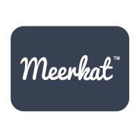 meerkatᵀᴹ logo image