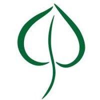 aspen leaf capital logo image