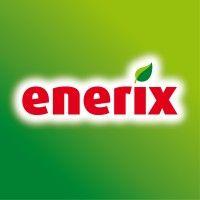 enerix logo image