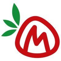 matin marjat oy logo image