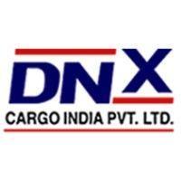 dnx cargo logo image