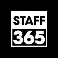 staff365 logo image