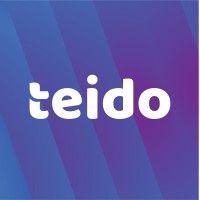 teido logo image