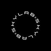 skylab logo image