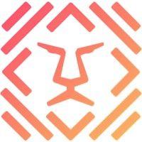 5lion ventures logo image