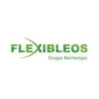 flexibleos logo image