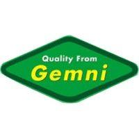 gemni logo image