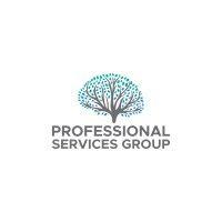 professional services group, inc. logo image