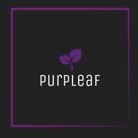 purpleaf, llc logo image