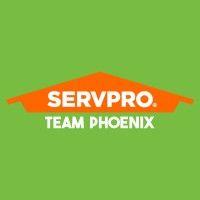 servpro of phoenix logo image