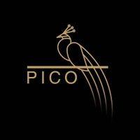 pico clinics logo image