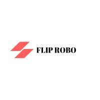 flip robo technologies llc logo image