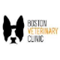 boston veterinary clinic logo image