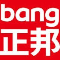 zhengbang brand identity & consultant logo image