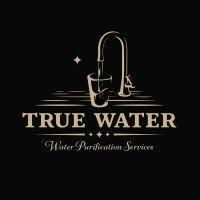 true water logo image