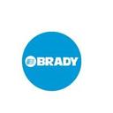 logo of Brady Services