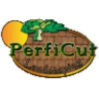 perficut inc. logo image