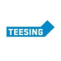 teesing bv logo image