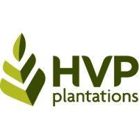 hvp plantations logo image