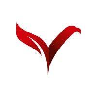 vermilion group logo image