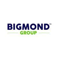 bigmond group logo image