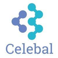 celebal india solutions pvt. ltd. logo image