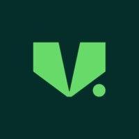 v.ships brasil logo image