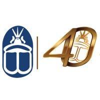 amcham egypt logo image