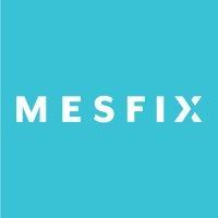 mesfix logo image