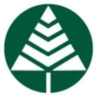 snavely forest products logo image