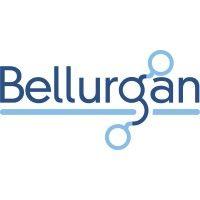 bellurgan precision engineering logo image