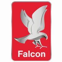 falcon foodservice equipment logo image