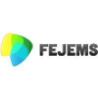 fejems logo image