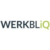 werkbliq logo image