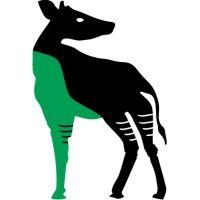 okapi ai logo image