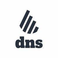 dns accountants - haslemere logo image