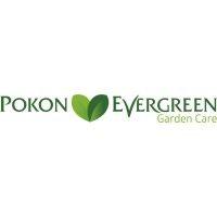 pokon evergreen b.v.