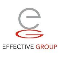 effective group zrt logo image